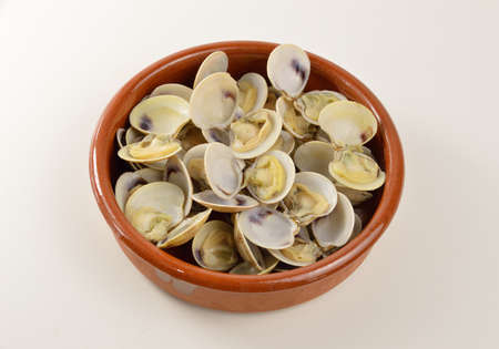 bowl with clams on a white backgroundの写真素材