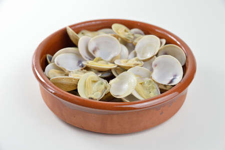 bowl with clams on a white backgroundの写真素材
