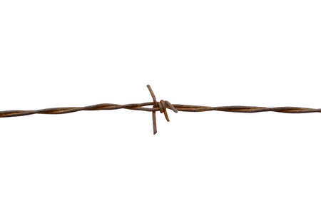 Barbed wires isolated with white bacgroundの写真素材