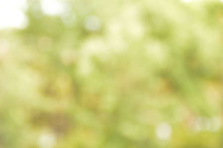 Fuzzy nature photoの写真素材
