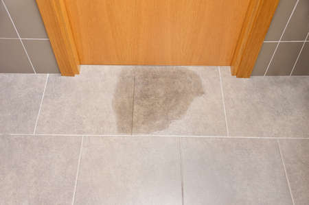 Water damage in indoor at home caused by sewer backflow due to clogged sanitary drainの写真素材