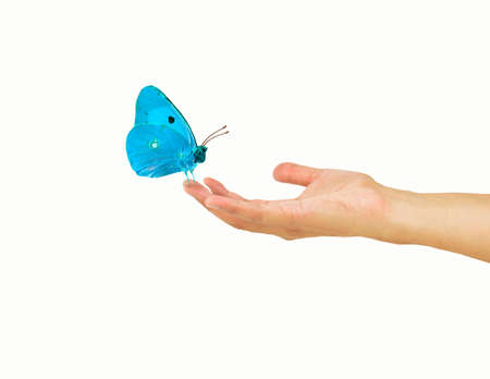 Beautiful butterfly on a woman hand with white backgroundの写真素材
