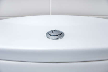 toilet flush knob with two separate buttonsの写真素材