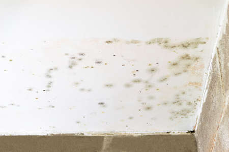 Damage caused by water leakage on a wall and ceiling at basementの写真素材