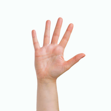 Woman palm hand in front isolated on whiteの写真素材