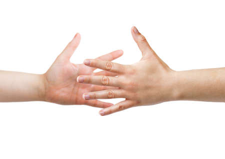 handshake of two women with white backgroundの写真素材
