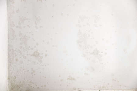 Damage caused by water damp on a house white wallの写真素材