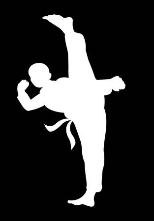 beautiful martial shadow movement, silhouette kungfu のイラスト素材