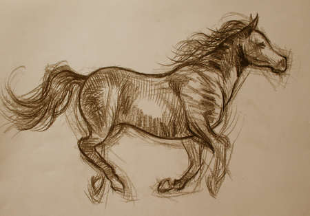 beautiful artistic horse sketchのeditorial素材