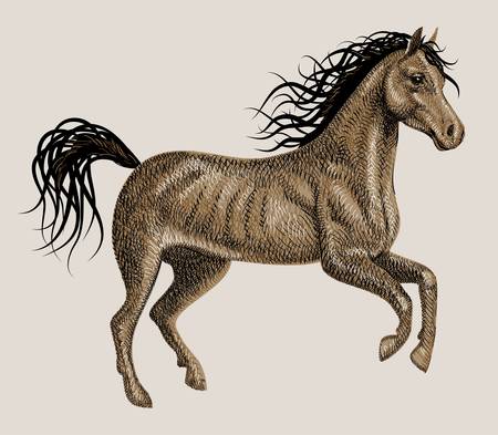 Horse artistic drawingのイラスト素材