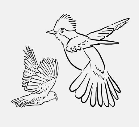 Bird animal flying drawing. good use for symbol, logo, web icon, mascot, sign, element, object, or any design you want.のイラスト素材
