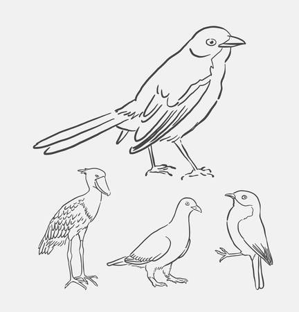 Bird animal drawing. Good use for symbol, logo, web icon, mascot, sticker, decoration element, object, or any design you want.のイラスト素材