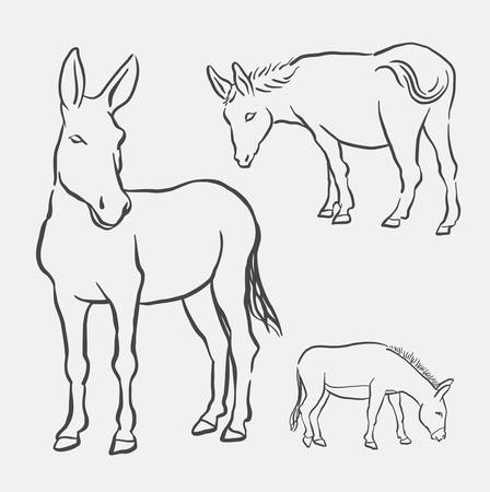 Donkey pet mammal animal drawing. Good use for symbol, logo, web icon, mascot, decorative element, object, sign or any design you want.のイラスト素材