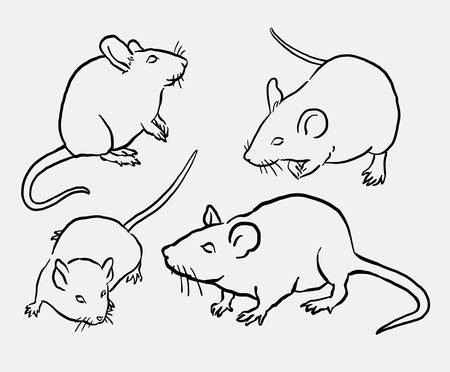 Mouse animal sketch. Good use for symbol, logo, web icon, mascot, sign, or any design you want.のイラスト素材