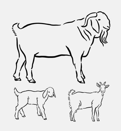 Goat pet animal pose hand drawing. good use for symbol, logo, web icon, mascot, coloring book, sign, or any design you want.のイラスト素材