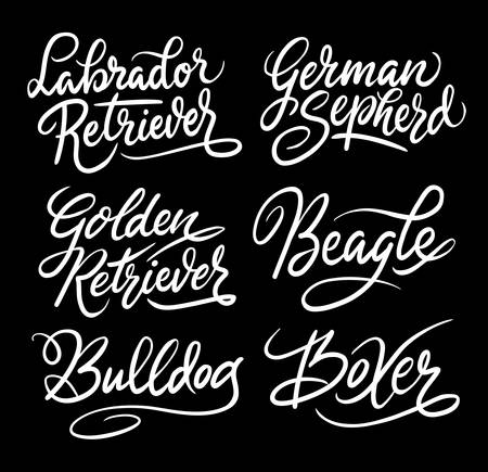 Dog and beagle hand written typography. Good use for logotype, symbol, cover label, product, brand, poster title or any graphic design you want.のイラスト素材