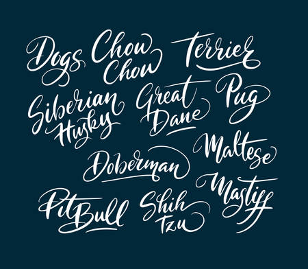 Terrier and pitbull dog pet animal hand written typography. Good use for logotype, symbol, cover label, product, brand, poster title or any graphic design you want. Easy to use or change colorのイラスト素材