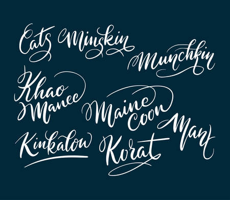 Maine coon and munchkin cat pet animal hand written typography. Good use for logotype, symbol, cover label, product, brand, poster title or any graphic design you want. Easy to use or change colorのイラスト素材