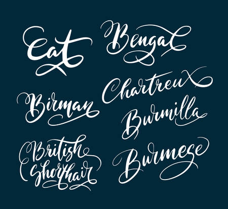 Bengal and birman cat pet animal hand written typography. Good use for logotype, symbol, cover label, product, brand, poster title or any graphic design you want. Easy to use or change colorのイラスト素材