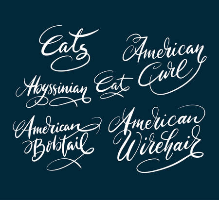 American curl cat pet animal hand written typography. Good use for logotype, symbol, cover label, product, brand, poster title or any graphic design you want. Easy to use or change colorのイラスト素材