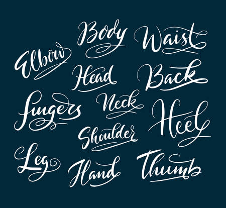 Body and fingers hand written typography. Good use for logotype, symbol, cover label, product, brand, poster title or any graphic design you want. Easy to use or change colorのイラスト素材