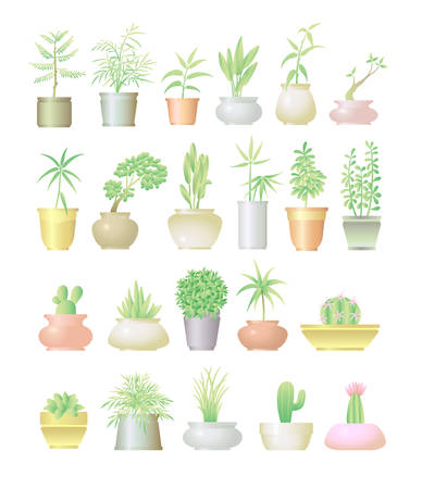 Plants in pot decorationのイラスト素材