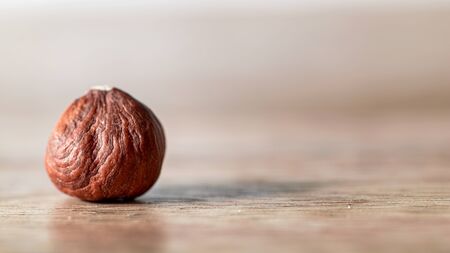hazelnut isolated macro natural ingredientの写真素材