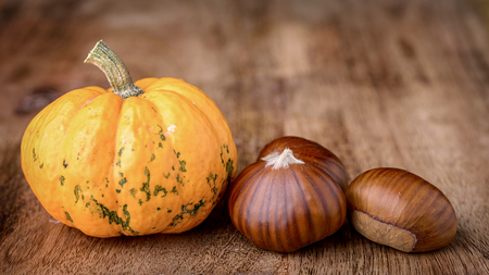 small decorative pumpkin and chestnut on woodの写真素材