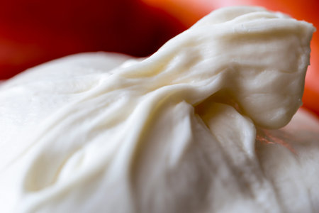 macro burrata traditional Italian cheese