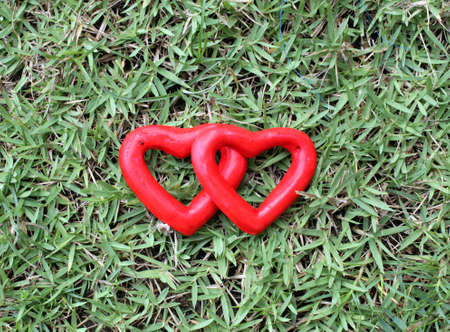 two red heart on the grassの写真素材