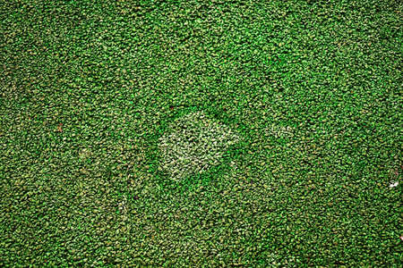 playground rubber floor Uneven skin colorの写真素材