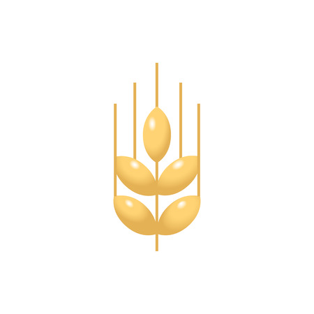 wheat flat vector illustration isolated on white background for icon, logotype, mobile app and web design.のイラスト素材