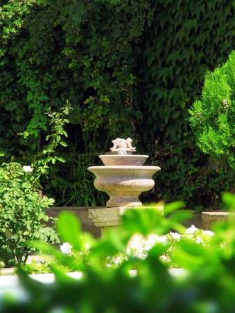 decorative garden fountain among the plants and flowersの写真素材
