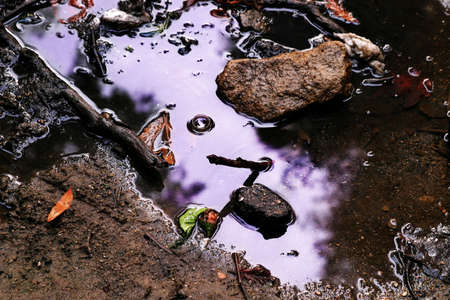 water in puddle reflecting purple skyの写真素材