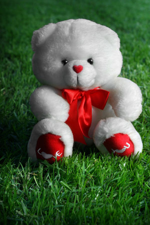 White teddy bear with the words I  You written on its red pawsの写真素材