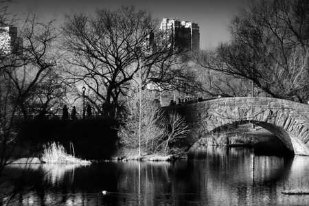 a stone bridge overpassing some water surrounded by trees の写真素材