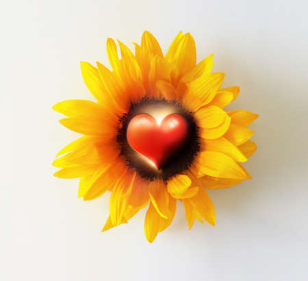 Abstract photo concept of a bright yellow sunflower with heart symbol in the stamenの写真素材