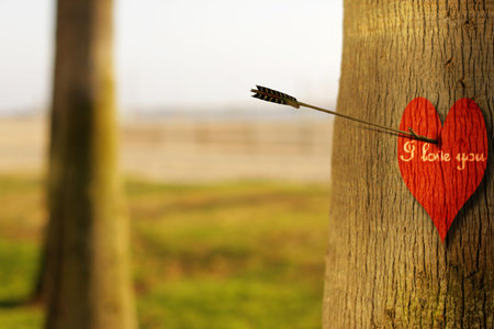 Abstract concept photograph of an arrow peircing a red heart on tree with phrase "I Love You"の写真素材