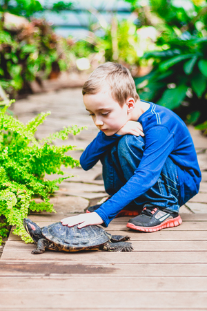 Boy petting a red-eared turtle. Focus on a turtle.の写真素材