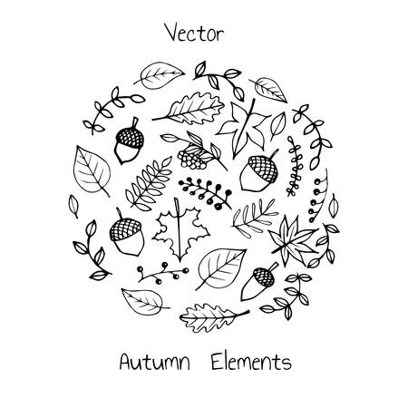 Vector hand drawn set of autumn elements: foliage, berries and acorns. Maple, sycamore, birch, beech and oak tree leaves. For your design.のイラスト素材