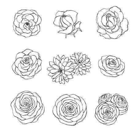 Vector hand drawn set of rose, camellia, peony and chrysanthemum flowers outline isolated on the white background. Floral decoration in sketchy style.のイラスト素材