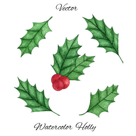 Vector christmas holly ilex aquifolium set isolated on the white background. Branch with leaves and red berries. New Year decoration for holiday cards and invitations.のイラスト素材