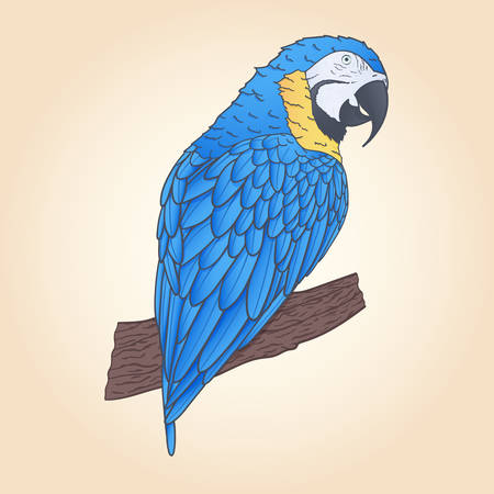 Hand drawn vector macaw parrot sitting on the branch isolated. Tropical decoration.のイラスト素材