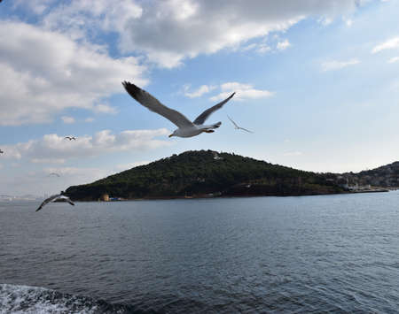 Marmara Seaの写真素材