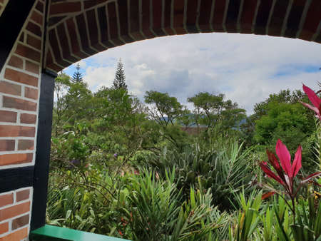 Pomerodeの写真素材