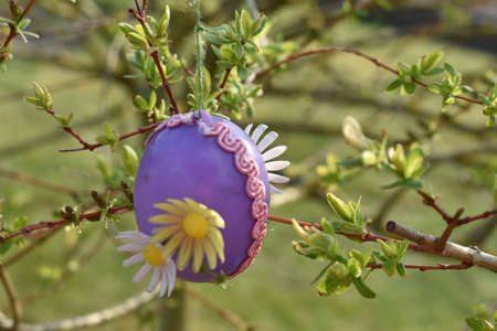 Purple Easter Eggの写真素材