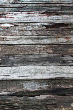 The woodの写真素材