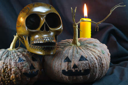 Human skulls and pumpkin on black background, Halloween day background.の写真素材