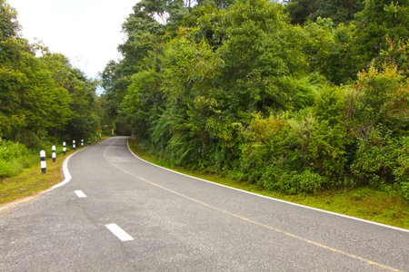 A country road running through green fields.winding road