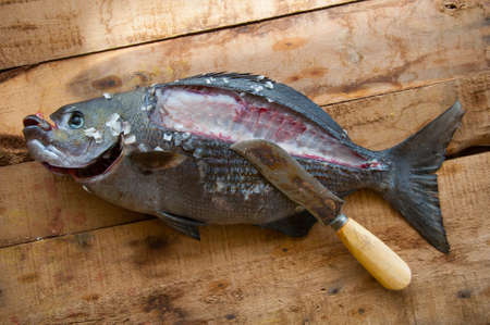 Fresh fish from the sea on wooden background, Healthy foods background.の写真素材